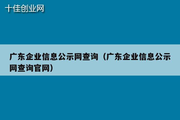 广东企业信息公示网查询（广东企业信息公示网查询官网）