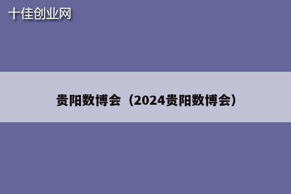 贵阳数博会（2024贵阳数博会）