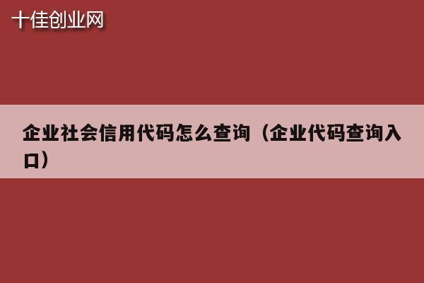 企业社会信用代码怎么查询（企业代码查询入口）