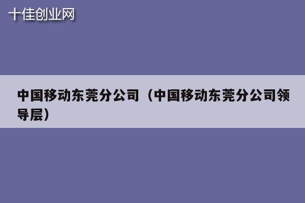 中国移动东莞分公司（中国移动东莞分公司领导层）