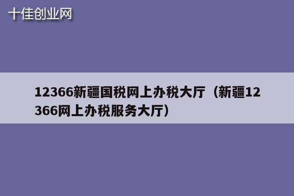 12366新疆国税网上办税大厅（新疆12366网上办税服务大厅）