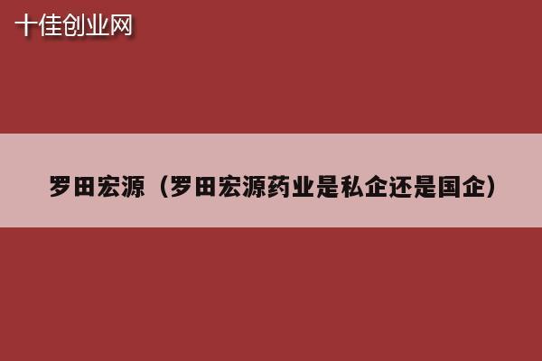 罗田宏源（罗田宏源药业是私企还是国企）