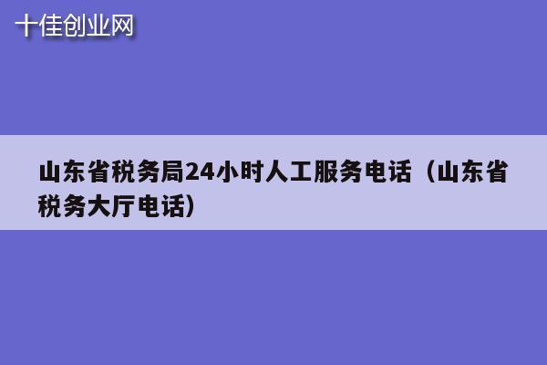 山东省税务局24小时人工服务电话（山东省税务大厅电话）