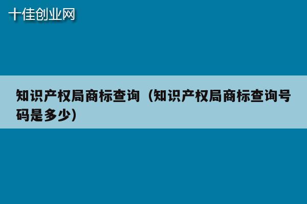 知识产权局商标查询（知识产权局商标查询号码是多少）